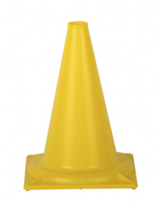 27309
